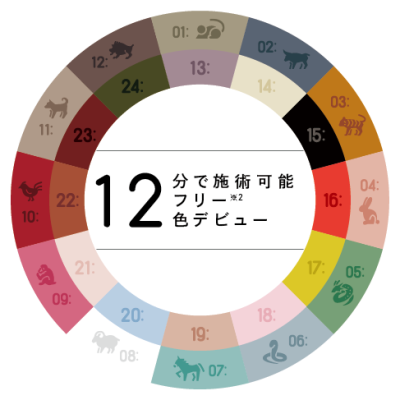 12C スリーインワンジェルポリッシュ 新色12色 11月25日発売