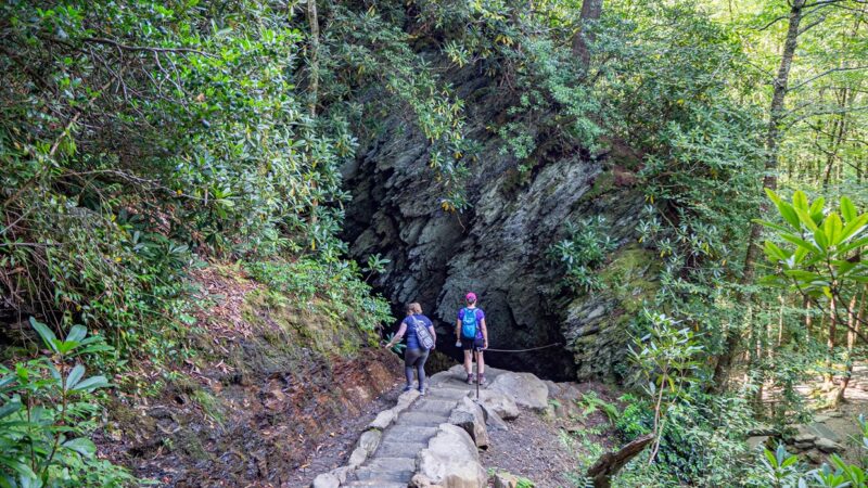 退職後 アメリカに行く話 | アメリカの国立公園32選！【グレート