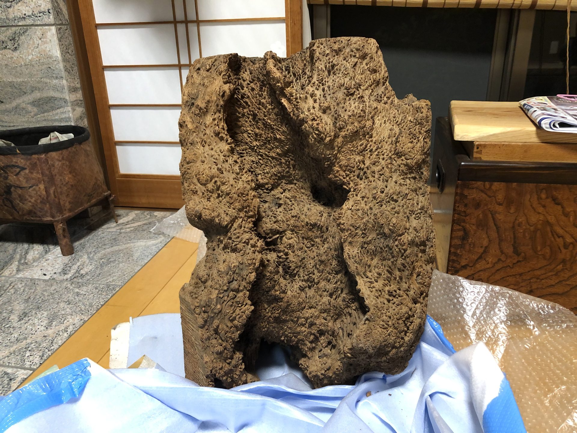 屋久杉瘤（泡瘤）ボールペン | 木軸ペン工房 （モクペン）