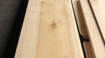 銀杏（イチョウ）｜無垢材・一枚板天板在庫情報 | 高田製材所