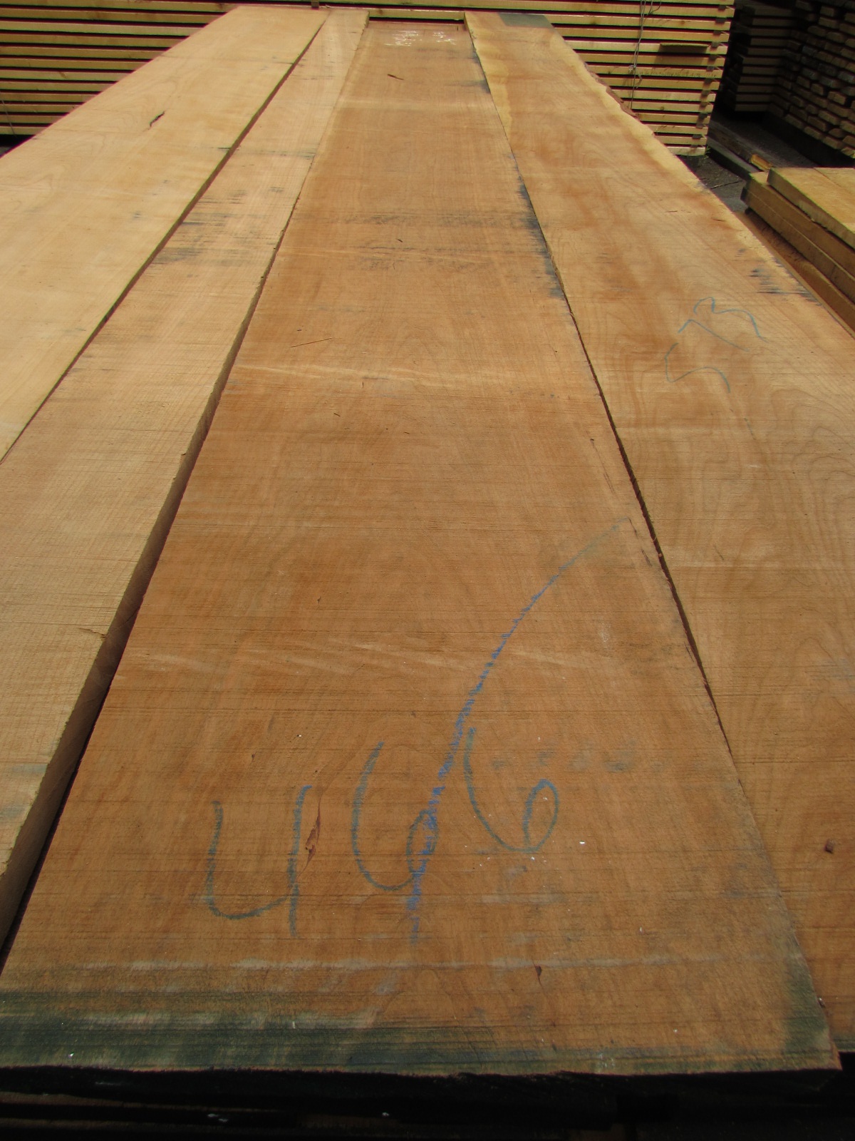 家具用材】バラ科サクラ属の“桜”を製材・入荷しました。チェリー 他