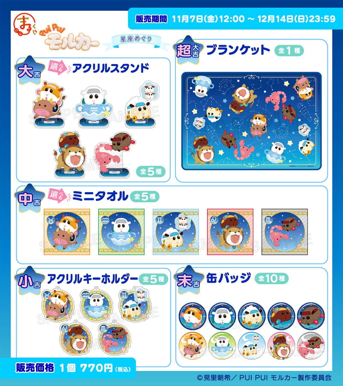 NEWS｜PUI PUI モルカー【公式】