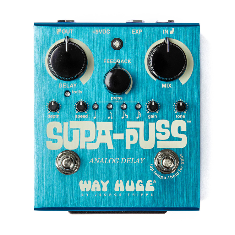WAY HUGE® SMALLS™ AQUA-PUSS™ ANALOG DELAY | WM71 | モリダイラ楽器