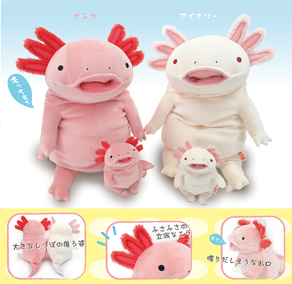 もちうぱ - モリサカグローバル