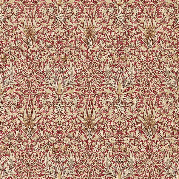 Snakeshead 216812 / 216428【壁紙】 – MORRISWORLD.jp