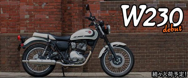 2020】Ninja ZX－14R HIGH GRADE | MotoPiazza