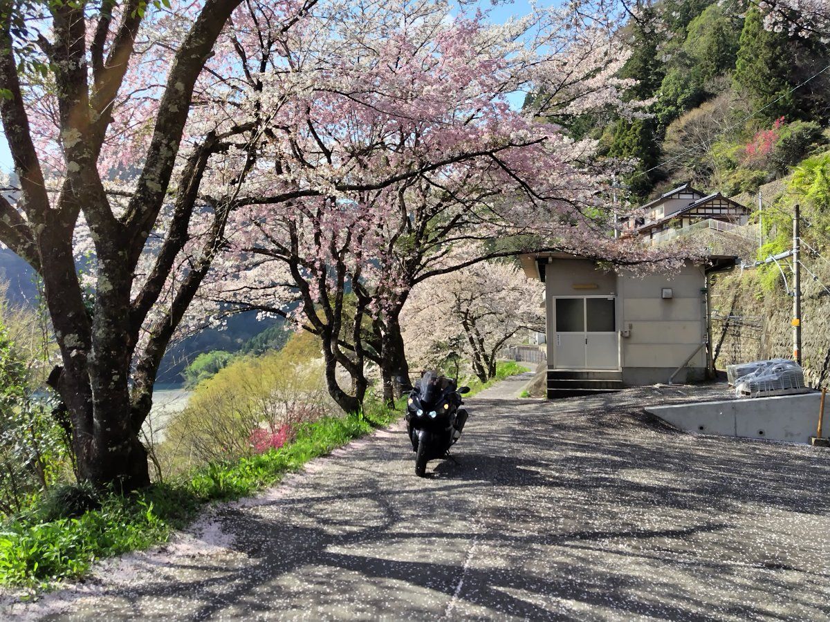 投稿詳細｜MOTOCLE