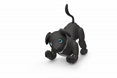 Sony Electronics Launches Limited aibo Espresso Edition in the US