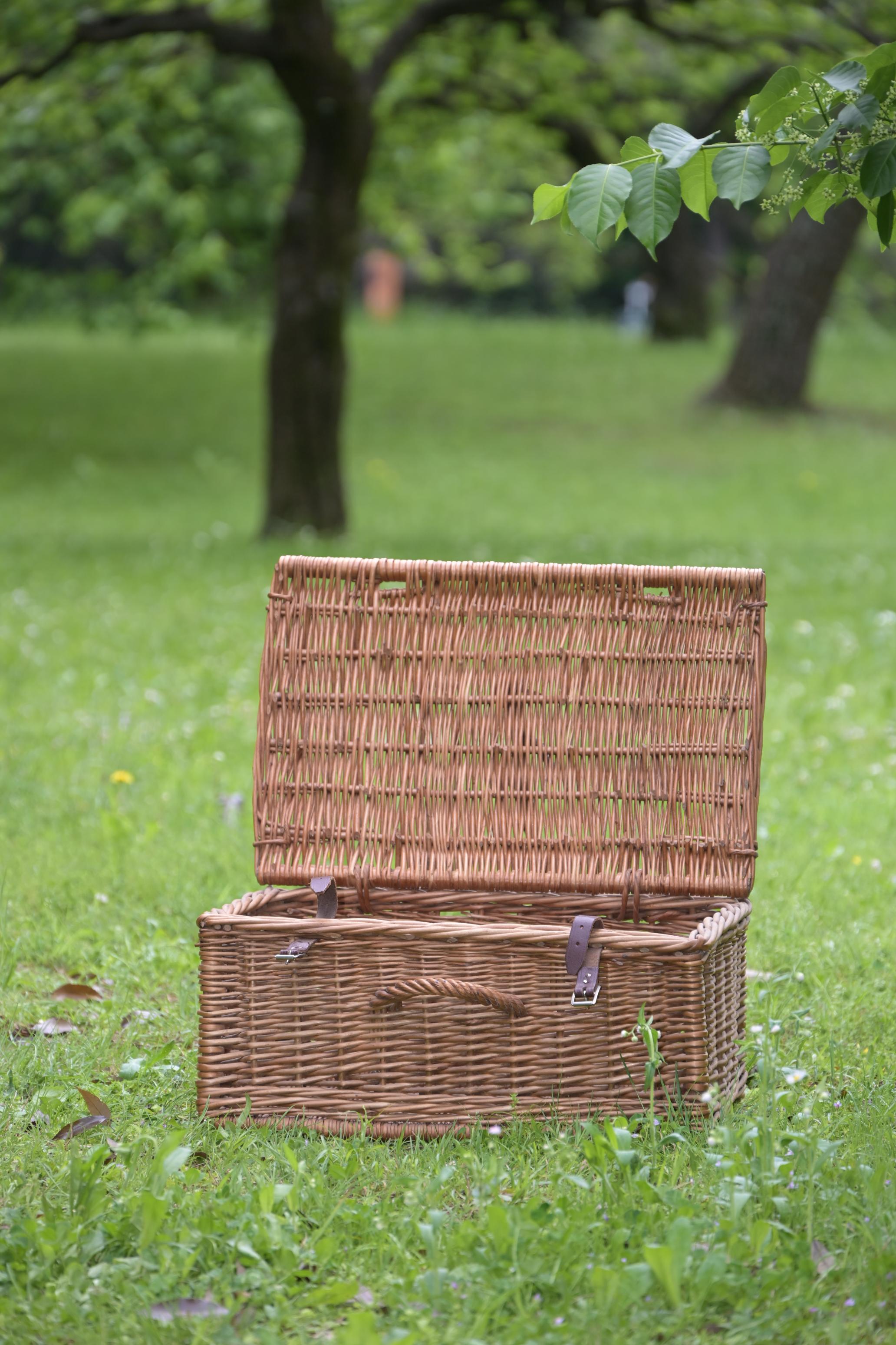 Fortonum & Maison Basket (MTE) – moom