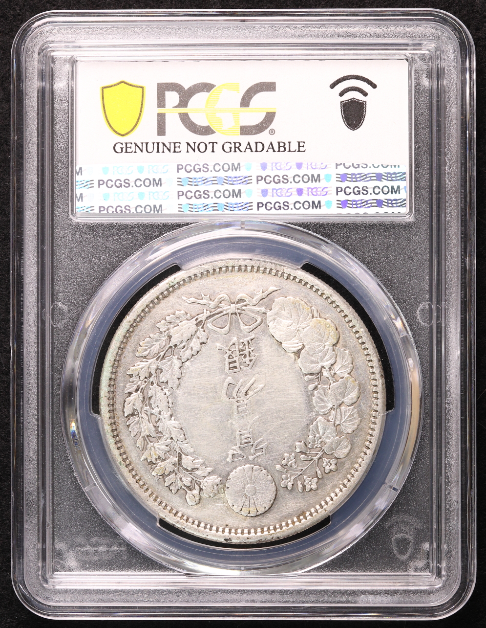 貿易銀 明治9年（1876） 長支脈 PCGS Repaired-XF Detail | ミスター