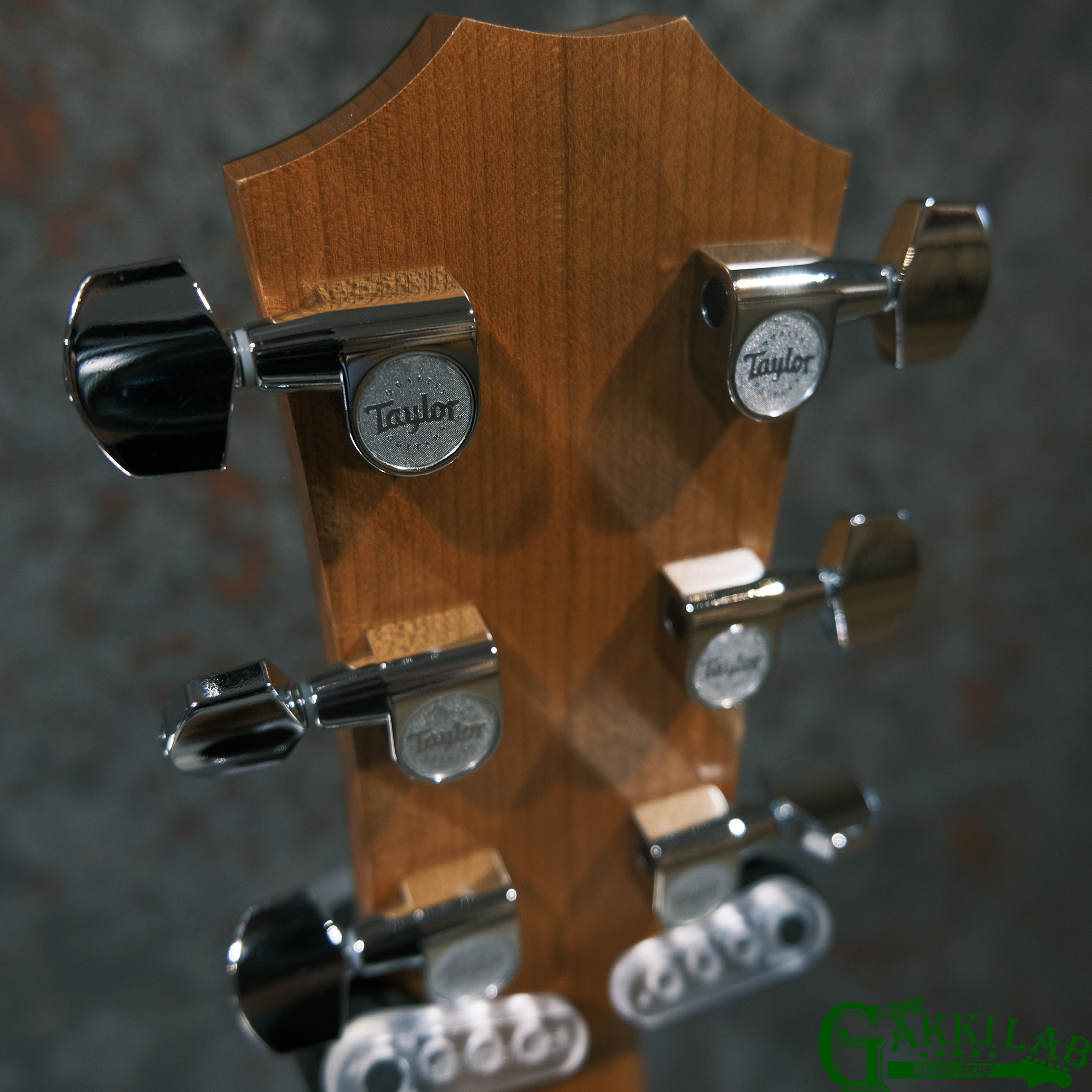 Taylor 114ce Walnut (Limited) ES2【エレアコ】 | 札幌の楽器屋さん