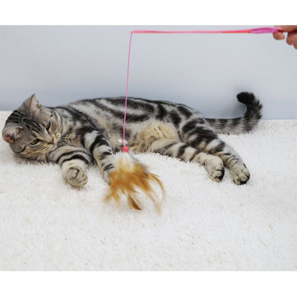 じゃれ猫 宙返り ｜ ミスターマックスオンラインストア