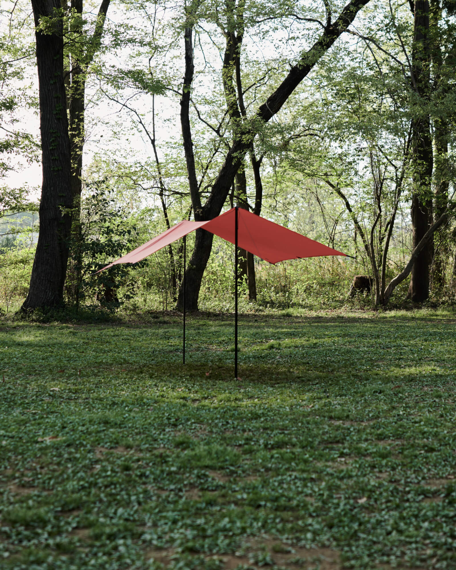 RAPIDE TARP INTERNATIONAL ORANGE｜ラピードタープインターナショナル