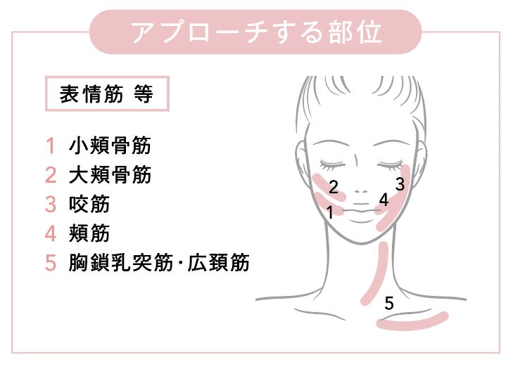 頭皮＆美肌ケアに◎話題の電気ブラシの効果や使い方を徹底レビュー