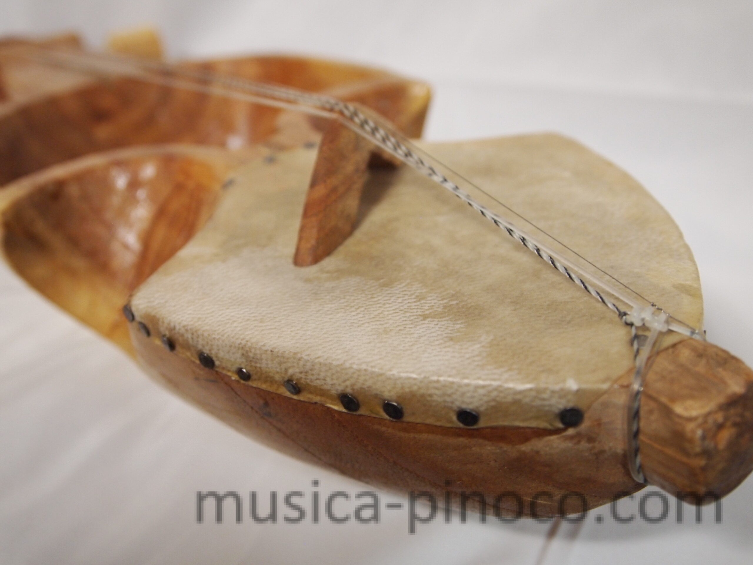 サーランギ（ネパール）（sarangi） - MUSICA PINOCO