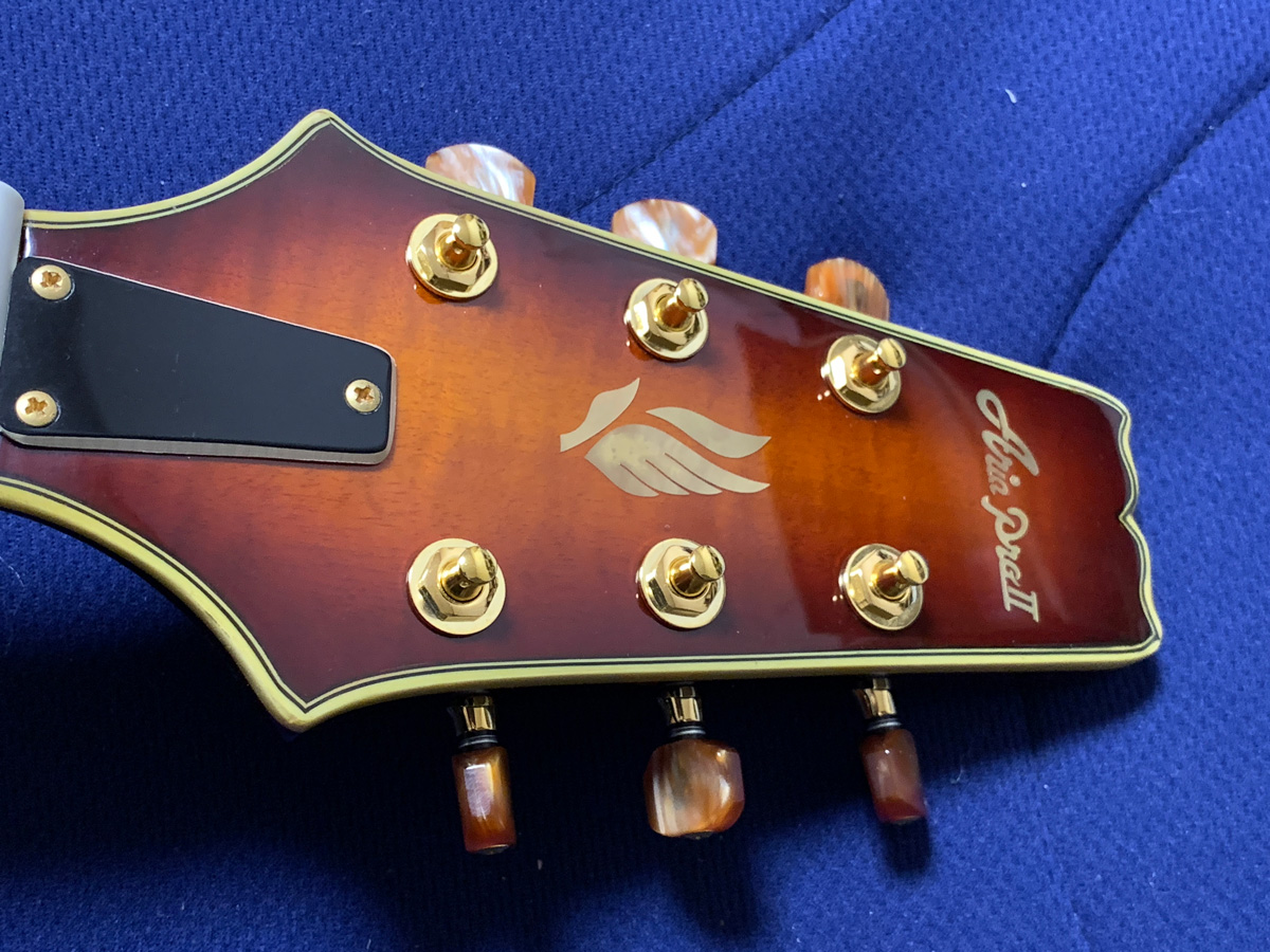 アリアプロ2 PEシリーズを買ってみた - 40・50代から始める趣味のギター