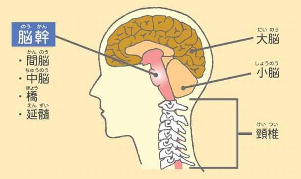むつう整体って？ | むつう整体 みらいゆ平井 - ご自身の自然治癒力で