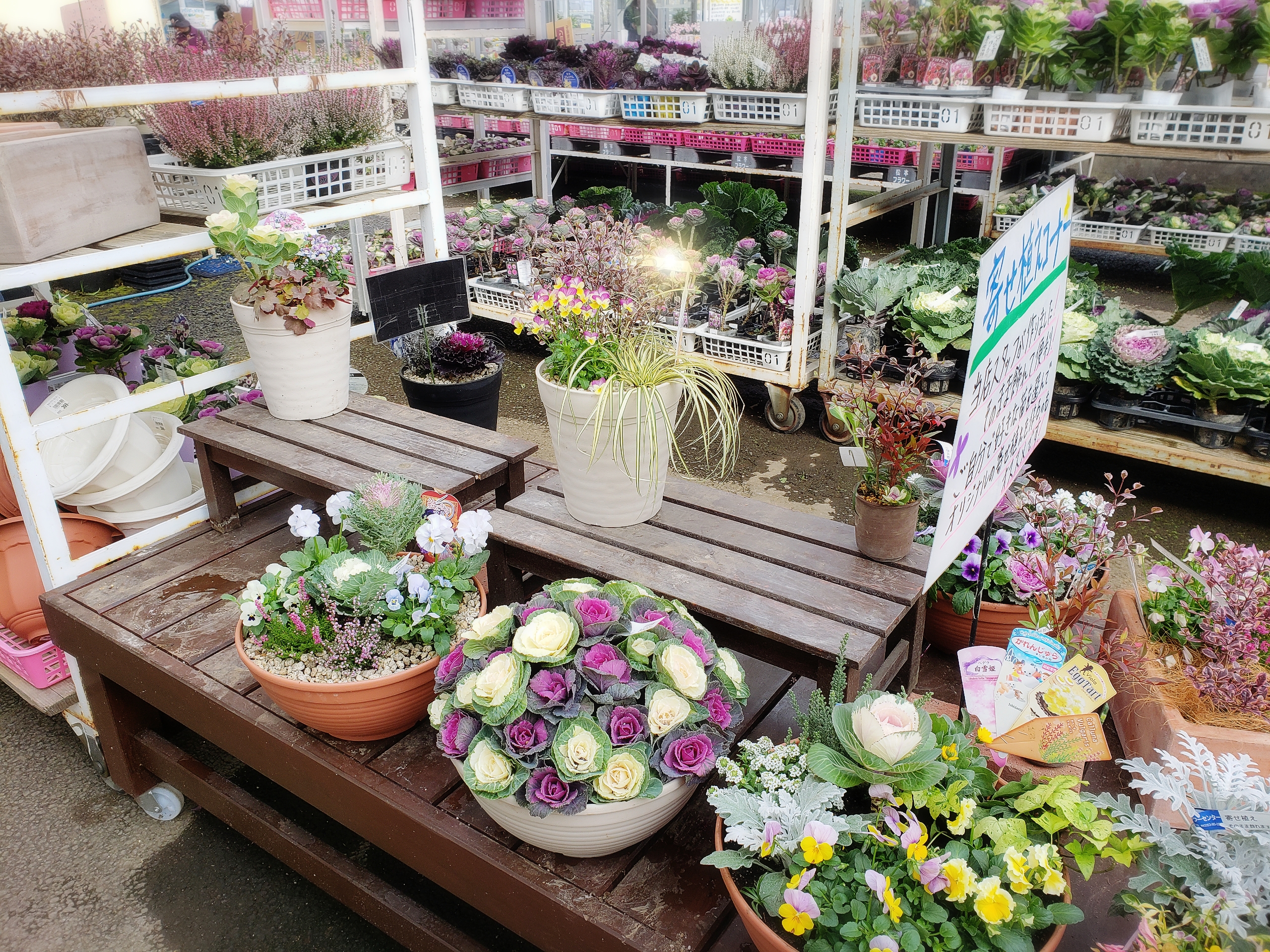 大人気‼️寄せ植え🌿 | 長野県松本市のお花屋さん｜松本フラワー