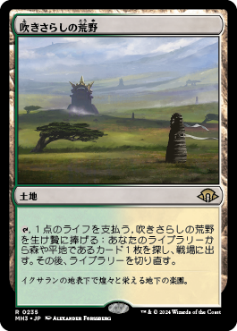 吹きさらしの荒野｜カードギャラリー｜マジック：ザ・ギャザリング