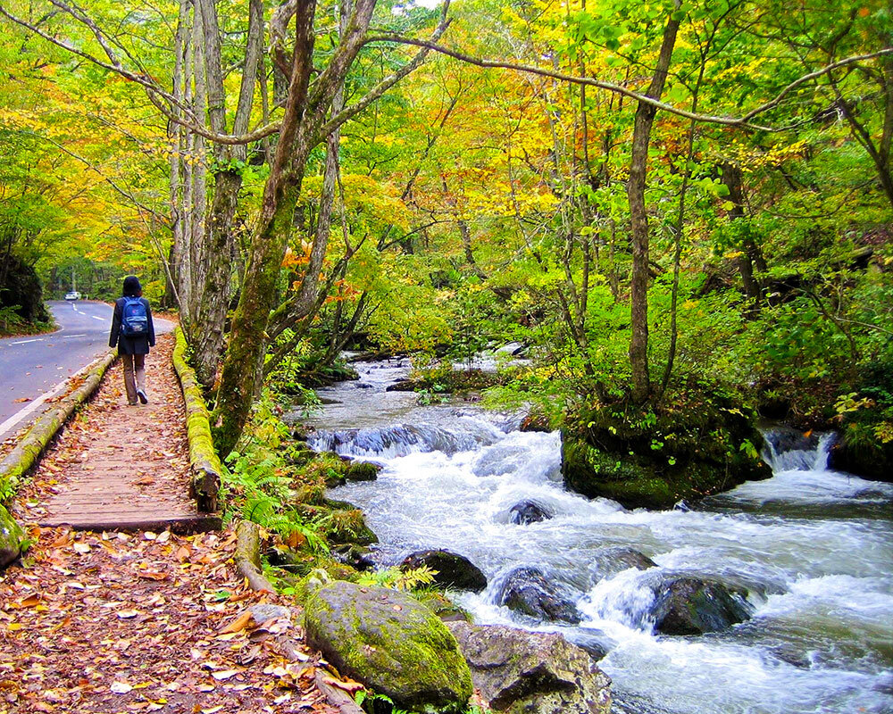 奥入瀬渓流
