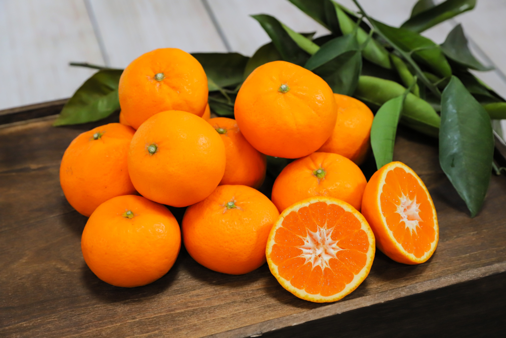 高根島みかんの種類 – 長畠農園