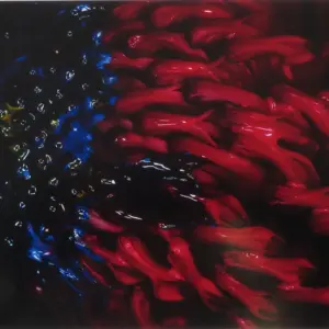 骸骨の泉 | 青島千穂 （アオシマチホ） | 百貨店クオリティをよりお