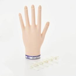 練習用ハンド・フット / NESオンラインショップ