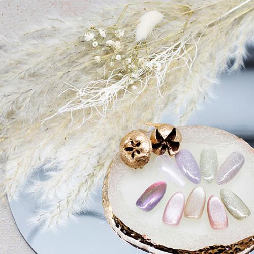 M・GEL マグネットネイル 5g Z520 / NESオンラインショップ