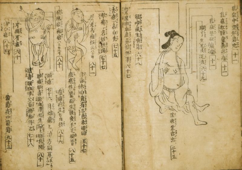 新入荷品】 古書目録 ① 令和2年1月号 漢方医書