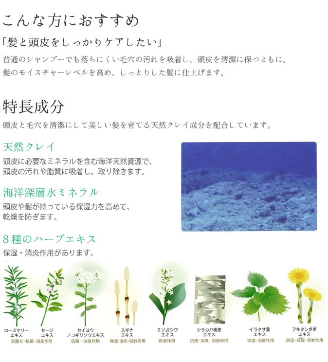 モルトベーネ クレイエステ パック 「EX」 1000g (詰替) (500g×2つ