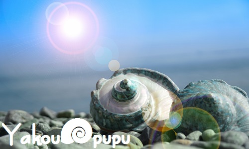 夜光貝アクセサリー＆インテリア『Yakou🐚pupu』 | ポケ海ハンドメイド協会