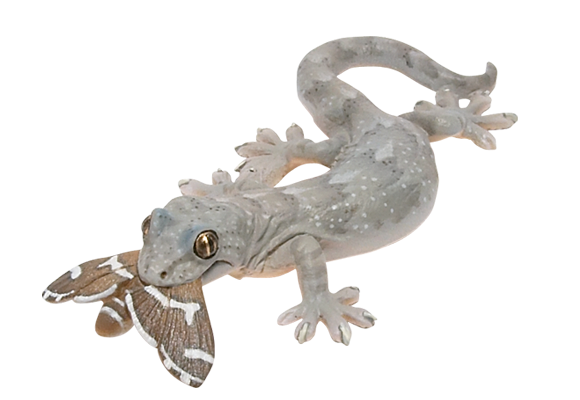 トカゲ・ヤモリ フィギュアマスコット – ネイチャーテクニカラー公式