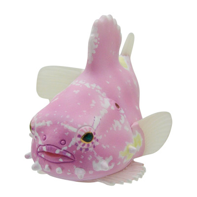 ダンゴウオ マグネット×ストラップ – ネイチャーテクニカラー公式