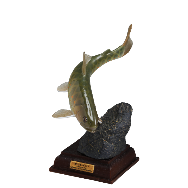 NTC 日本の清流 増補特装版 – ネイチャーテクニカラー公式