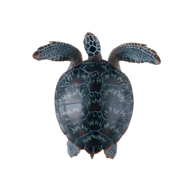 NTC 小笠原 特装版 – ネイチャーテクニカラー公式