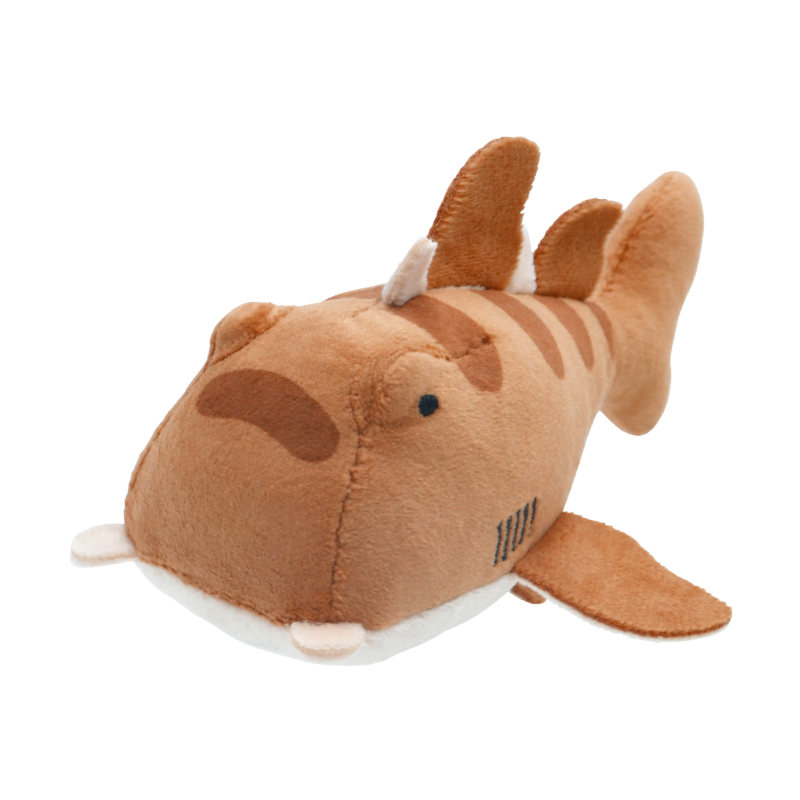 ATC こた サメぬいぐるみ – ネイチャーテクニカラー公式