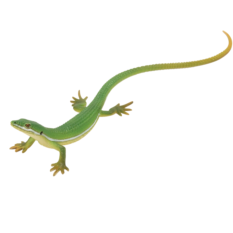 NTC MONO＋トカゲとヤモリ マグネット＆ボールチェーン – ネイチャー