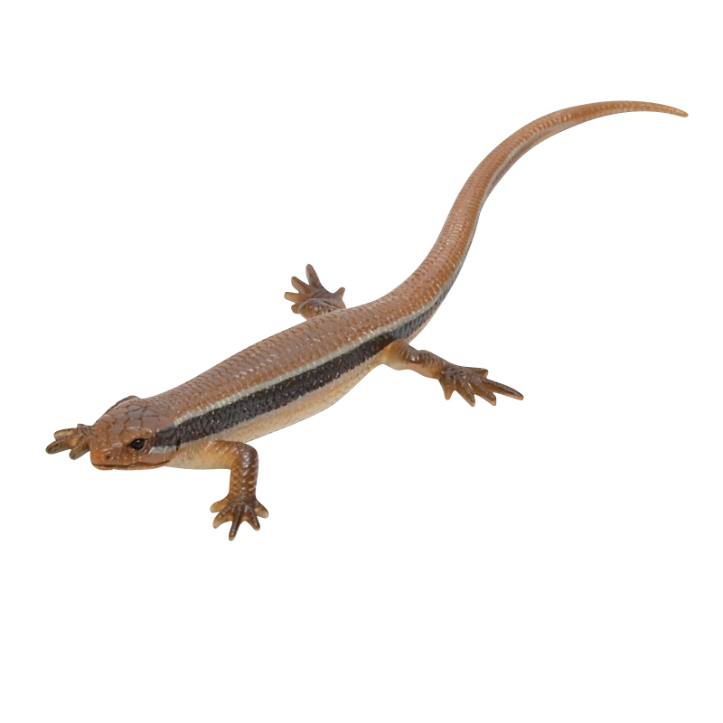 NTC MONO＋トカゲとヤモリ マグネット＆ボールチェーン – ネイチャー