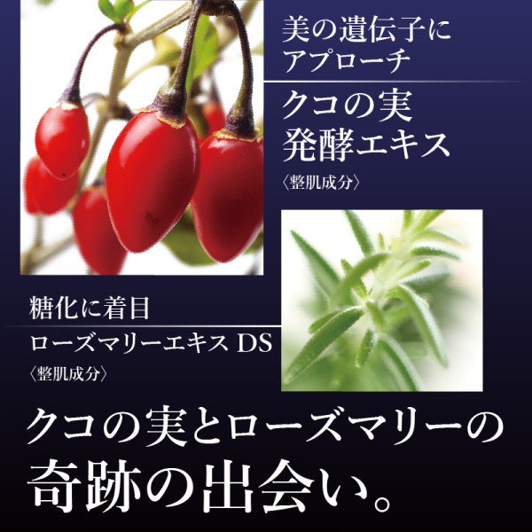 2/5まで】ロズマリスト（ミニサイズプレゼント） | ナガセビューティ