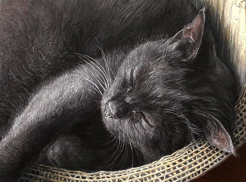 美術のなかの猫たち 写真よりも本物らしい黒猫の絵