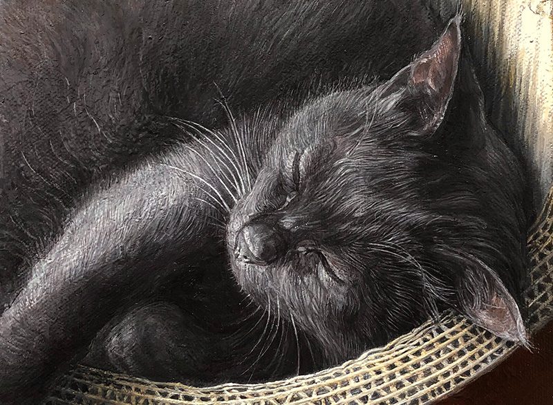 美術のなかの猫たち 写真よりも本物らしい黒猫の絵