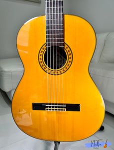 Fernandes GC-20 Grand Concert Classical Guitar – Neil Ta Music
