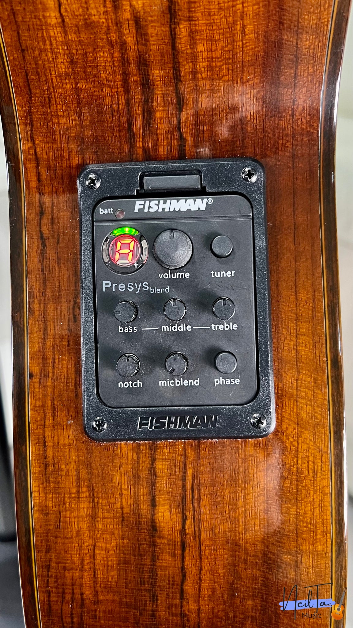 Yamaha C-200 Electric Classical Guitar (Feb 1977) – Neil Ta Music