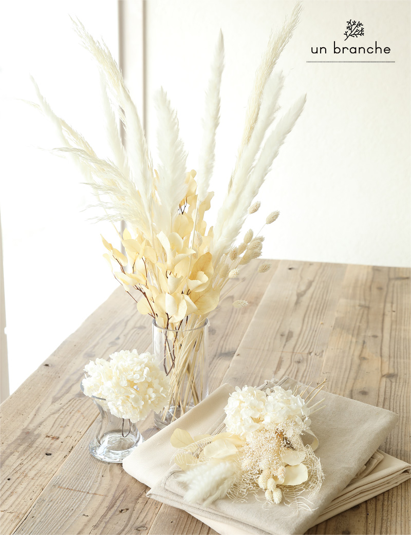 プルームリード白｜プリザーブドフラワー/ドライフラワー/ワイルド