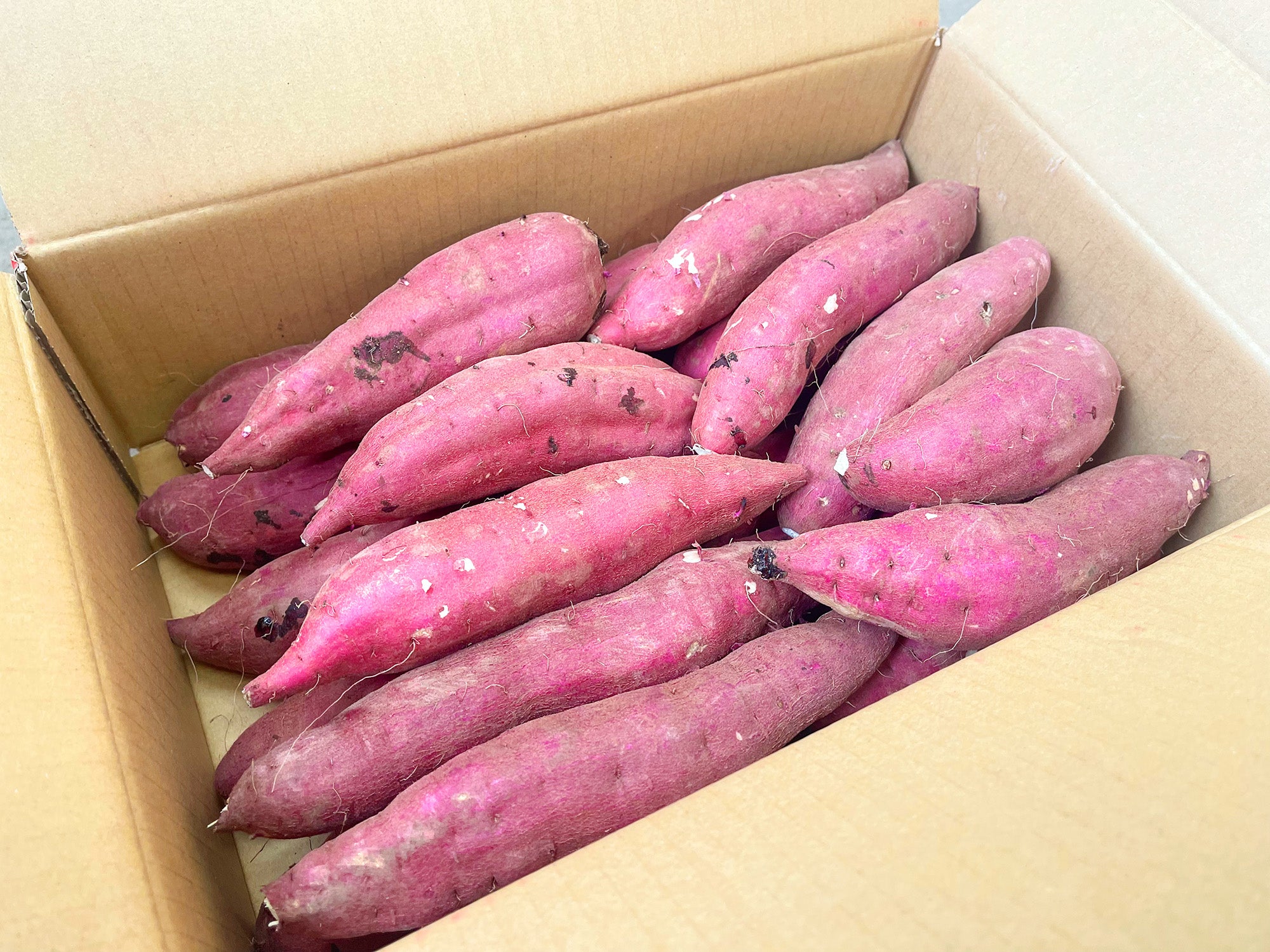 期間限定】さつまいも（紅はるか）Mサイズ20kg【ファーマーズ・オブ