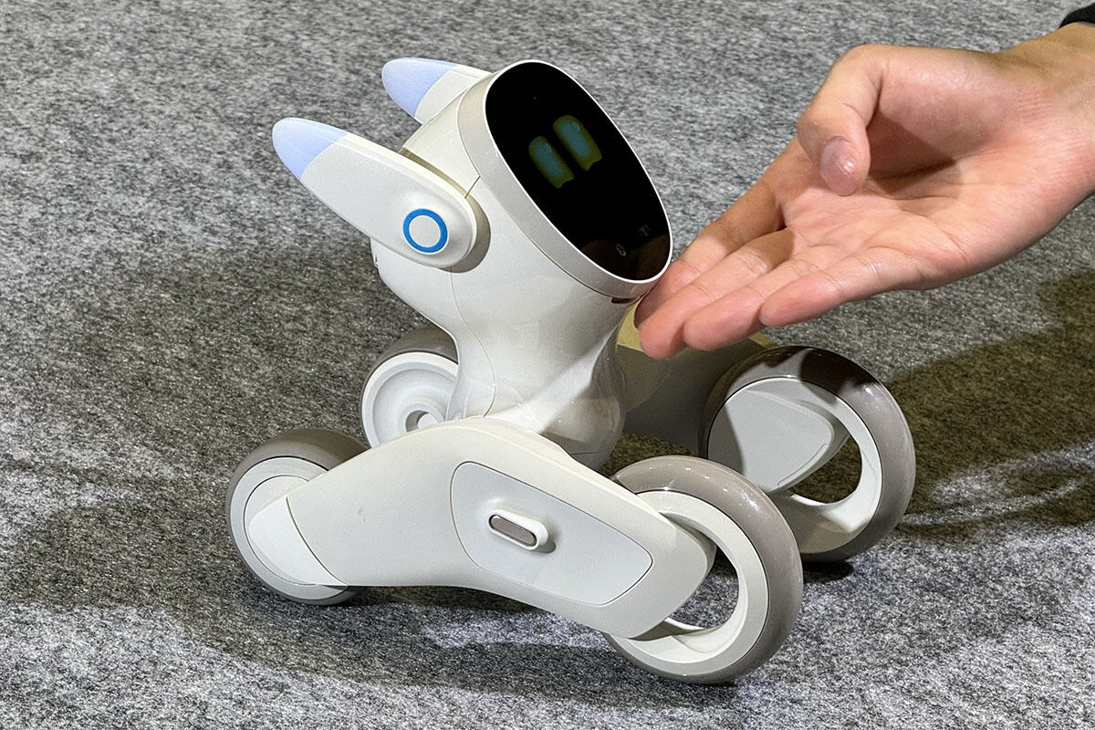 アンカーが投入するペットロボット「Loona Blue」ってなんだ? 実際に見