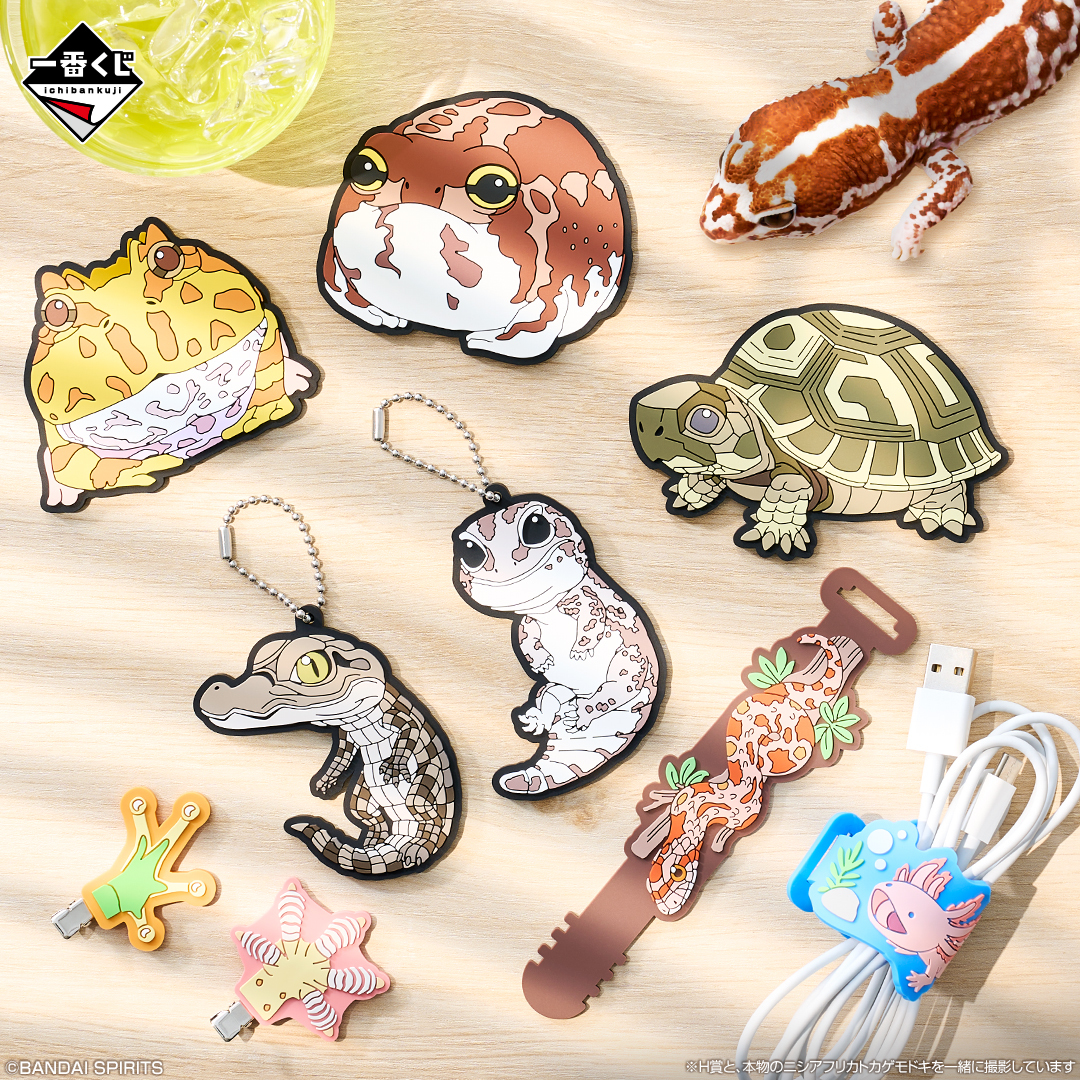 爬虫類＆両生類」だけの一番くじ第2弾が7月25日より発売