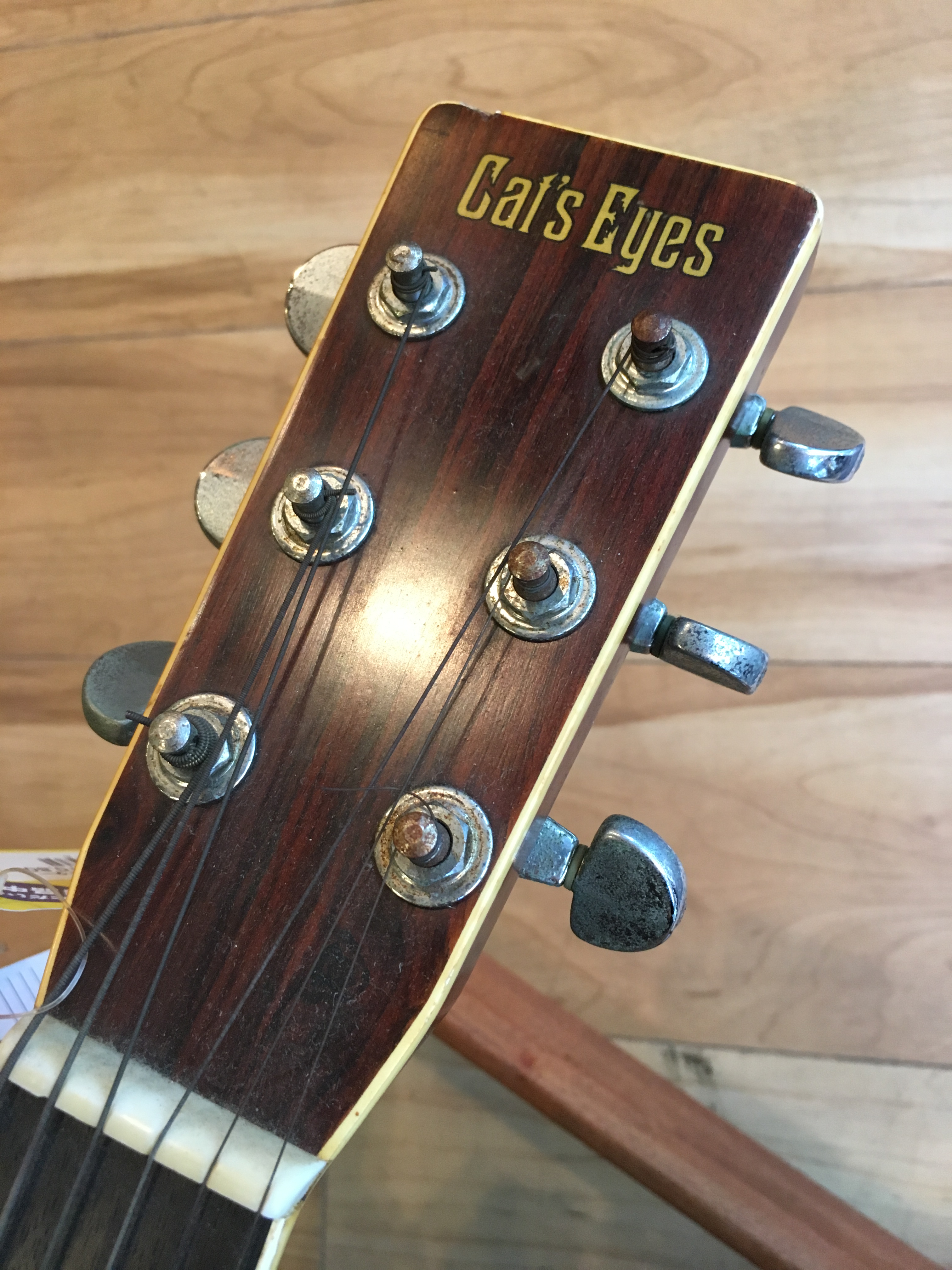 総合リサイクルショップ RecycleGallery NEWS / TOKAIGAKKI