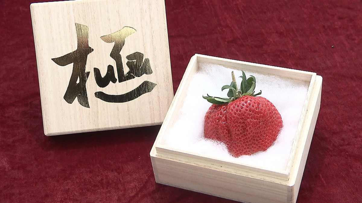 1月15日は「いちごの日」!いちご狩りに役立つ情報や最高級の”あまおう