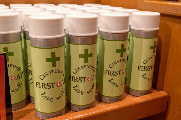 USJ】Ado率いるブルーローズ隊にキュン！イケメン＆イケジョぞろいの